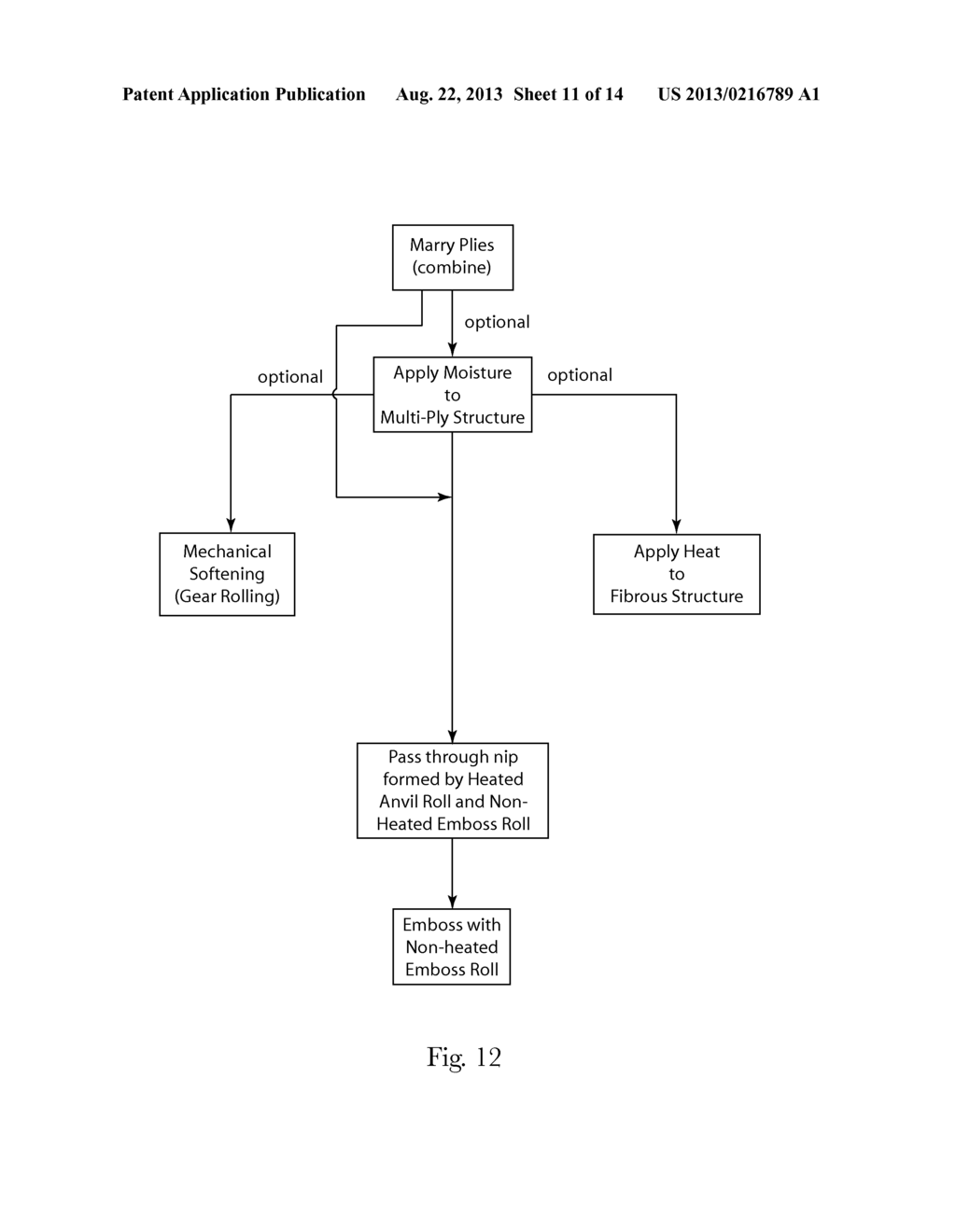 EMBOSSED FIBROUS STRUCTURES AND METHODS FOR MAKING SAME - diagram, schematic, and image 12