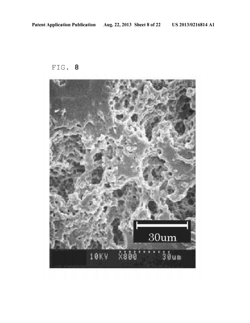 W/O EMULSION, FOAM, AND FUNCTIONAL FOAM - diagram, schematic, and image 09