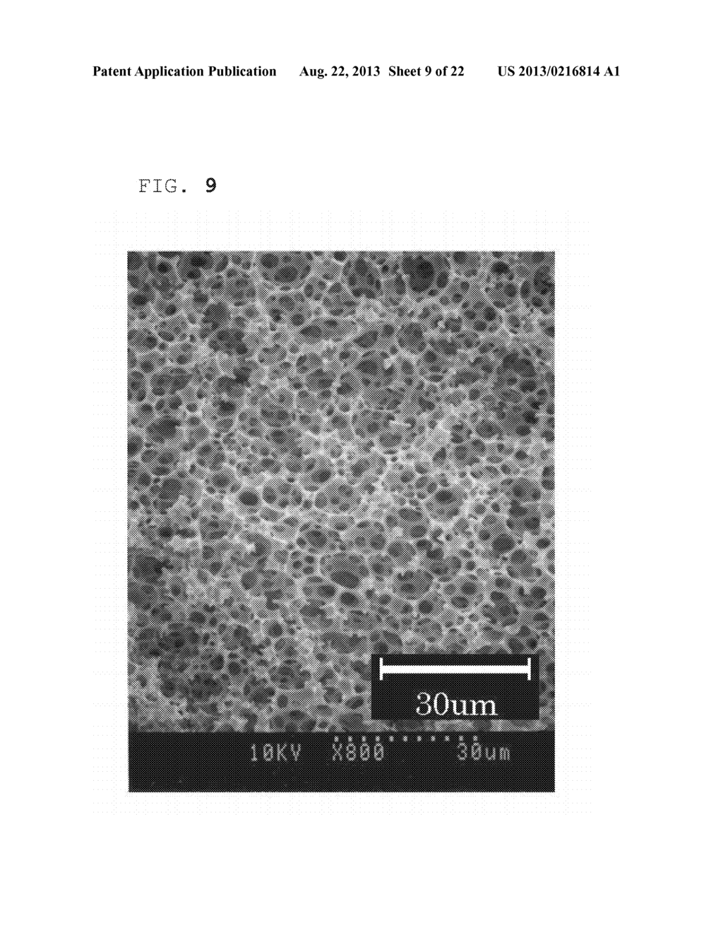 W/O EMULSION, FOAM, AND FUNCTIONAL FOAM - diagram, schematic, and image 10