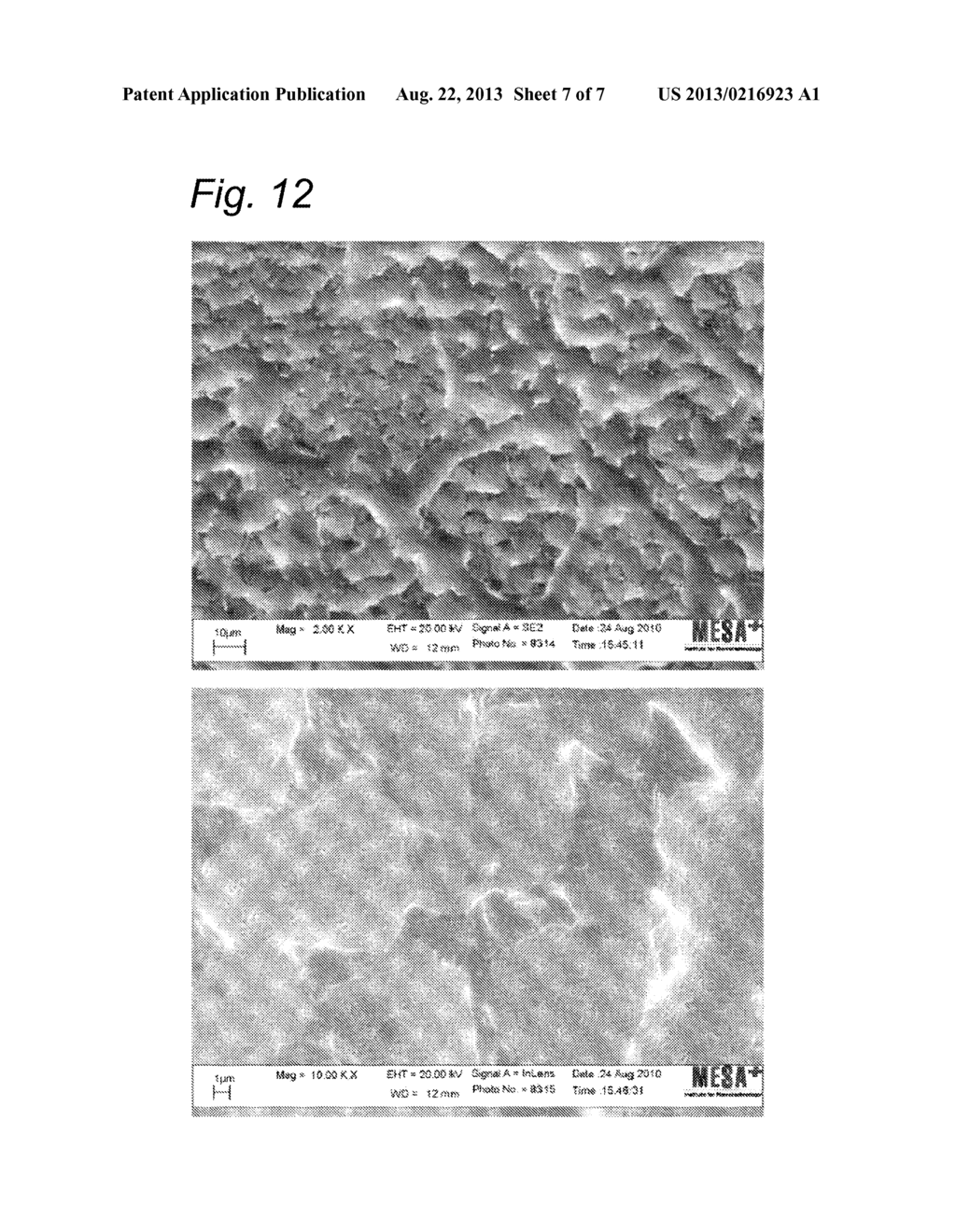 ELECTRO-CATALYST - diagram, schematic, and image 08