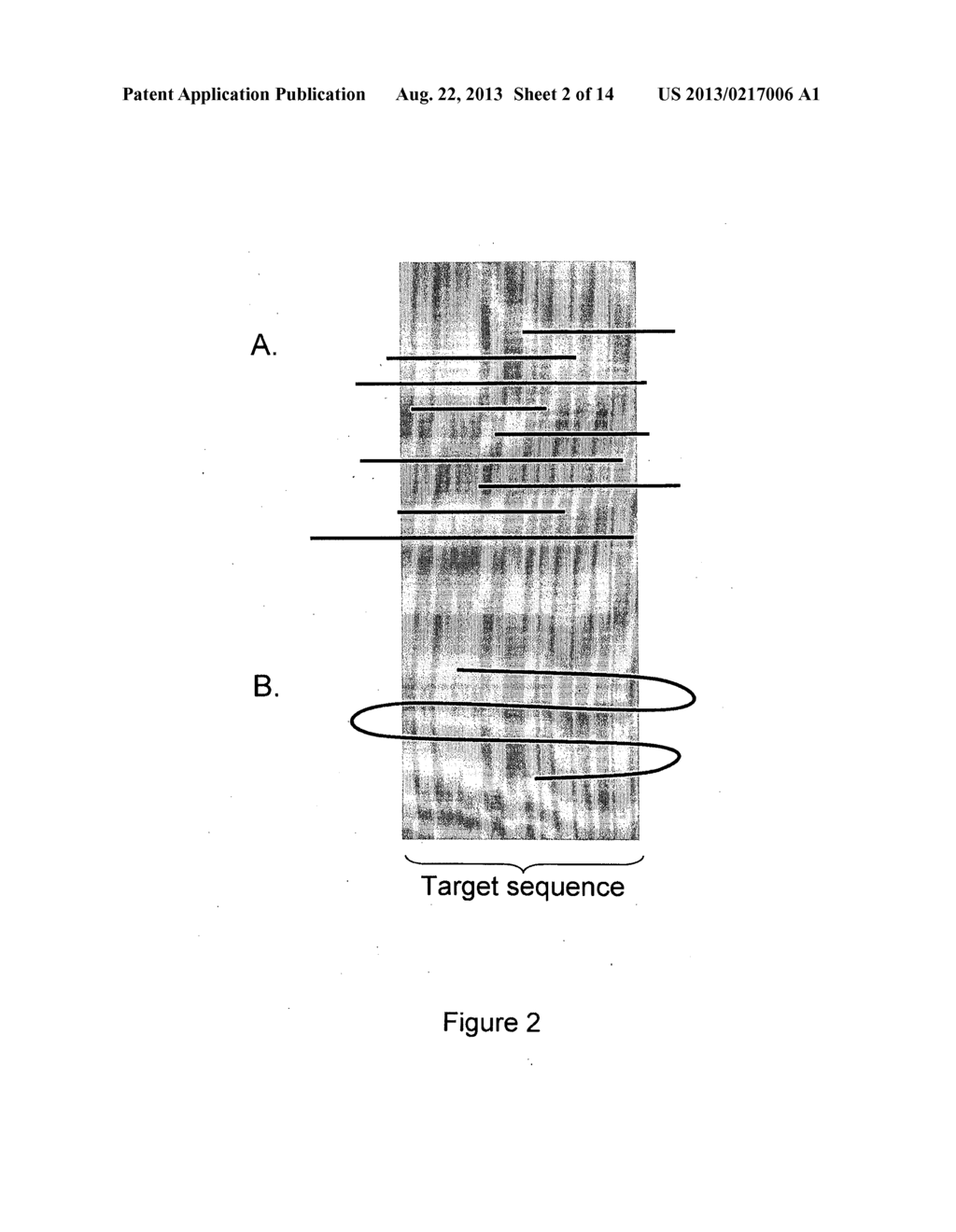 ALGORITHMS FOR SEQUENCE DETERMINATION - diagram, schematic, and image 03