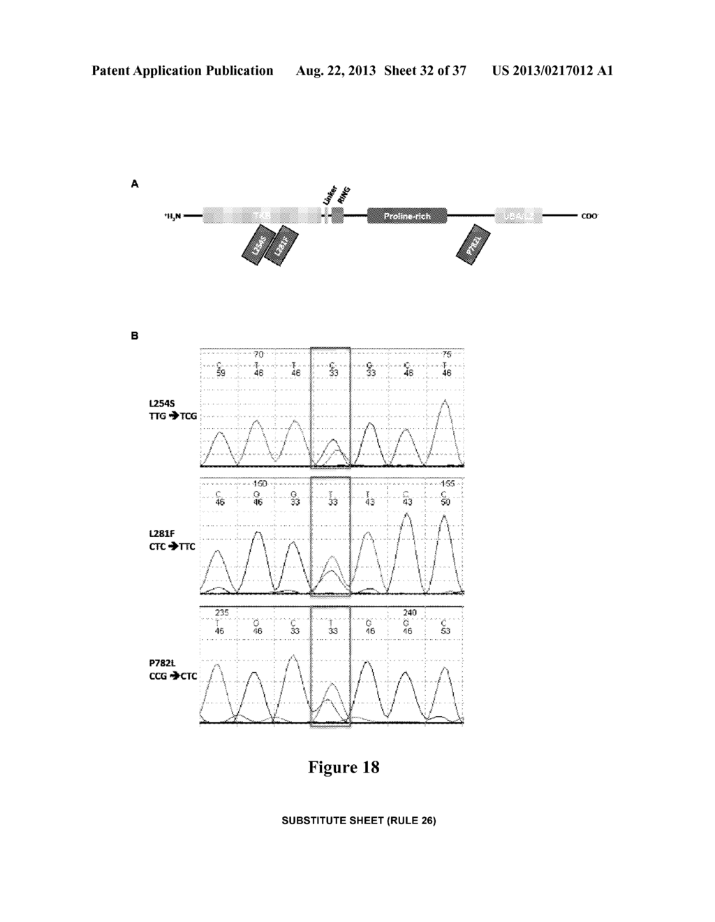 C-CBL MUTATIONS AND USES THEREOF - diagram, schematic, and image 33