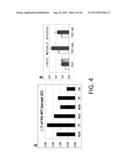 METHODS FOR IMPROVING SENSITIVITY AND SPECIFICITY OF SCREENING ASSAYS OF     KRAS CODONS 12 AND 13 MUTATIONS diagram and image