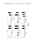 METHODS FOR IMPROVING SENSITIVITY AND SPECIFICITY OF SCREENING ASSAYS OF     KRAS CODONS 12 AND 13 MUTATIONS diagram and image