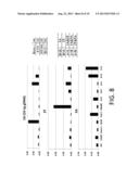 METHODS FOR IMPROVING SENSITIVITY AND SPECIFICITY OF SCREENING ASSAYS OF     KRAS CODONS 12 AND 13 MUTATIONS diagram and image