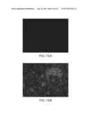 Methods and Systems for Microfluidic DNA Sample Preparation diagram and image