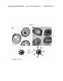 FUNCTIONALIZATION OF GOLD NANOPARTICLES WITH ORIENTED PROTEINS,     APPLICATION TO THE HIGH-DENSITY LABELING OF CELL MEMBRANES diagram and image