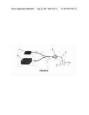 DETECTION OF BIOLOGICAL MOLECULES BY DIFFERENTIAL PARTITIONING OF ENZYME     SUBSTRATES AND PRODUCTS diagram and image