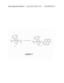 DETECTION OF BIOLOGICAL MOLECULES BY DIFFERENTIAL PARTITIONING OF ENZYME     SUBSTRATES AND PRODUCTS diagram and image