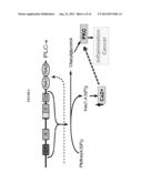 METHOD FOR DETERMINING PREDISPOSITION TO ESOPHAGEAL-RELATED DISORDERS diagram and image