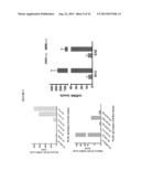 METHOD FOR DETERMINING PREDISPOSITION TO ESOPHAGEAL-RELATED DISORDERS diagram and image