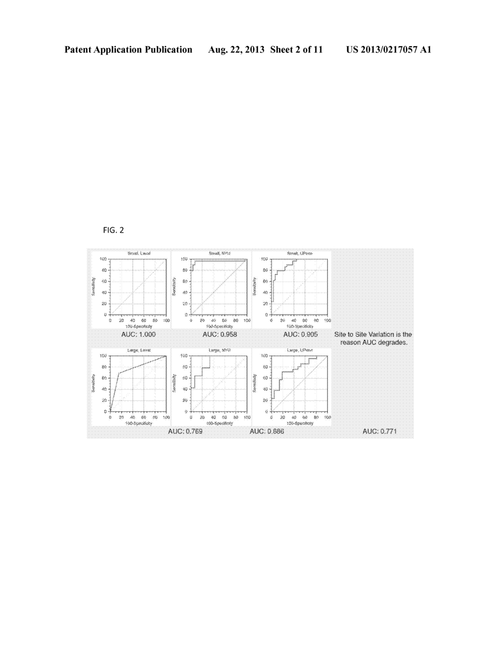 Compositions, Methods and Kits for Diagnosis of Lung Cancer - diagram, schematic, and image 03