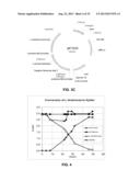 PRODUCTION OF XYLITOL FROM A MIXTURE OF HEMICELLULOSIC SUGARS diagram and image