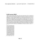 PRODUCTION OF XYLITOL FROM A MIXTURE OF HEMICELLULOSIC SUGARS diagram and image