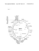 Heterologous Expression of Fungal Cellobiohydrolase 2 Genes in Yeast diagram and image