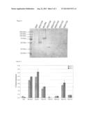 Heterologous Expression of Fungal Cellobiohydrolase 2 Genes in Yeast diagram and image