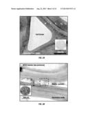 DIGESTIBLE LIGNOCELLULOSIC BIOMASS AND EXTRACTIVES AND METHODS FOR     PRODUCING SAME diagram and image