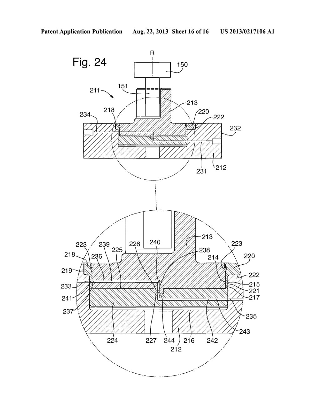 BIOCHEMICAL ANALYSIS APPARATUS AND ROTARY VALVE - diagram, schematic, and image 17