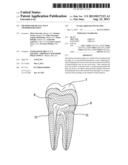 METHOD FOR DENTAL PULP CRYOPRESERVATION diagram and image