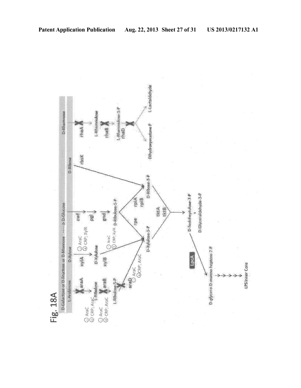 METHODS, COMPOSITIONS AND USE FOR ENHANCING CHEMICAL TOLERANCE BY     MICROORGANISMS - diagram, schematic, and image 28