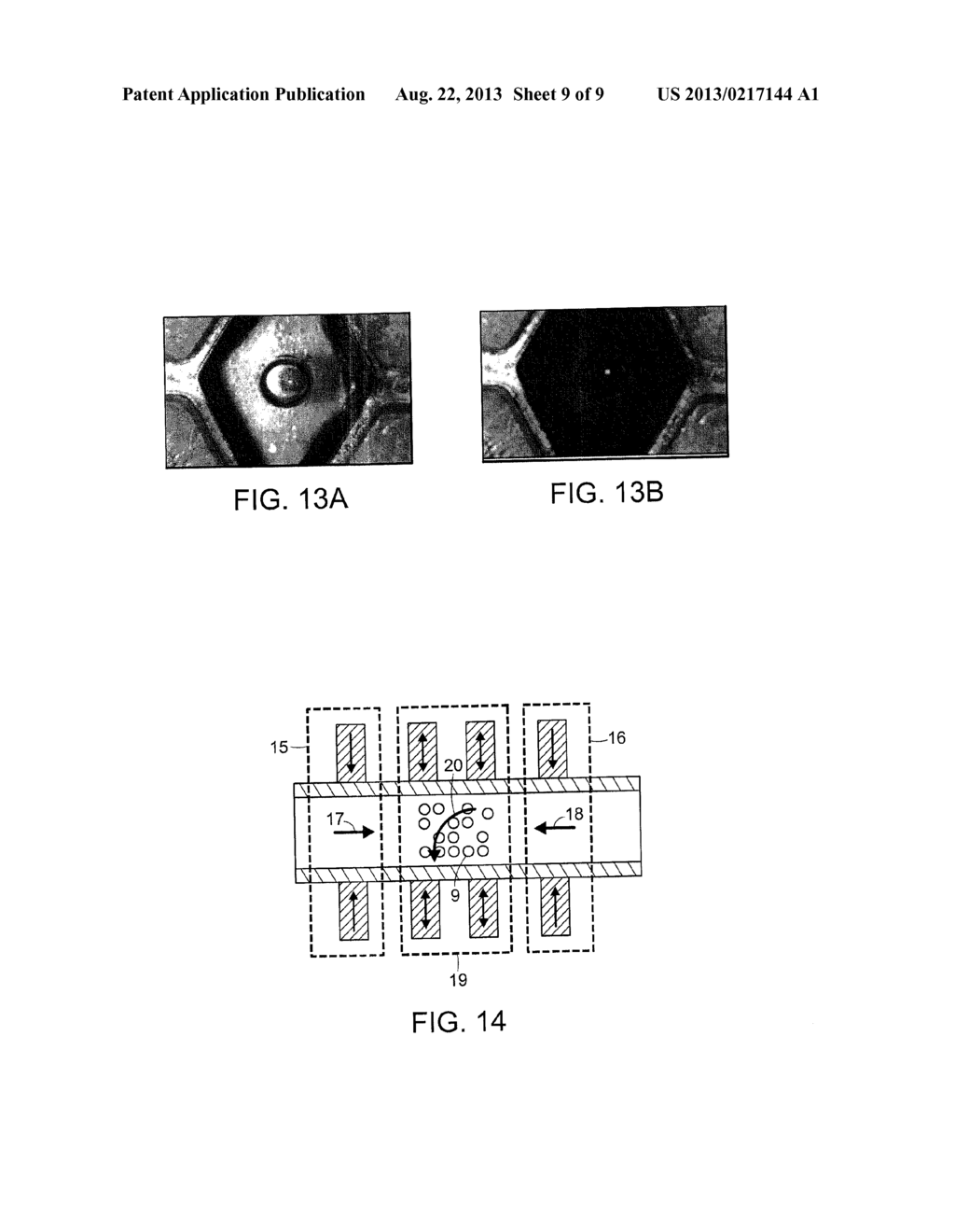 Device and Method for Manipulating and Mixing Magnetic Particles in a     Liquid Medium - diagram, schematic, and image 10