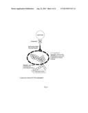 DETECTION OF COMPLEXES OF TAU AND AMYLOID diagram and image