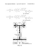 MICROFLUIDIC DEVICES AND METHODS OF USE IN THE FORMATION AND CONTROL OF     NANOREACTORS diagram and image