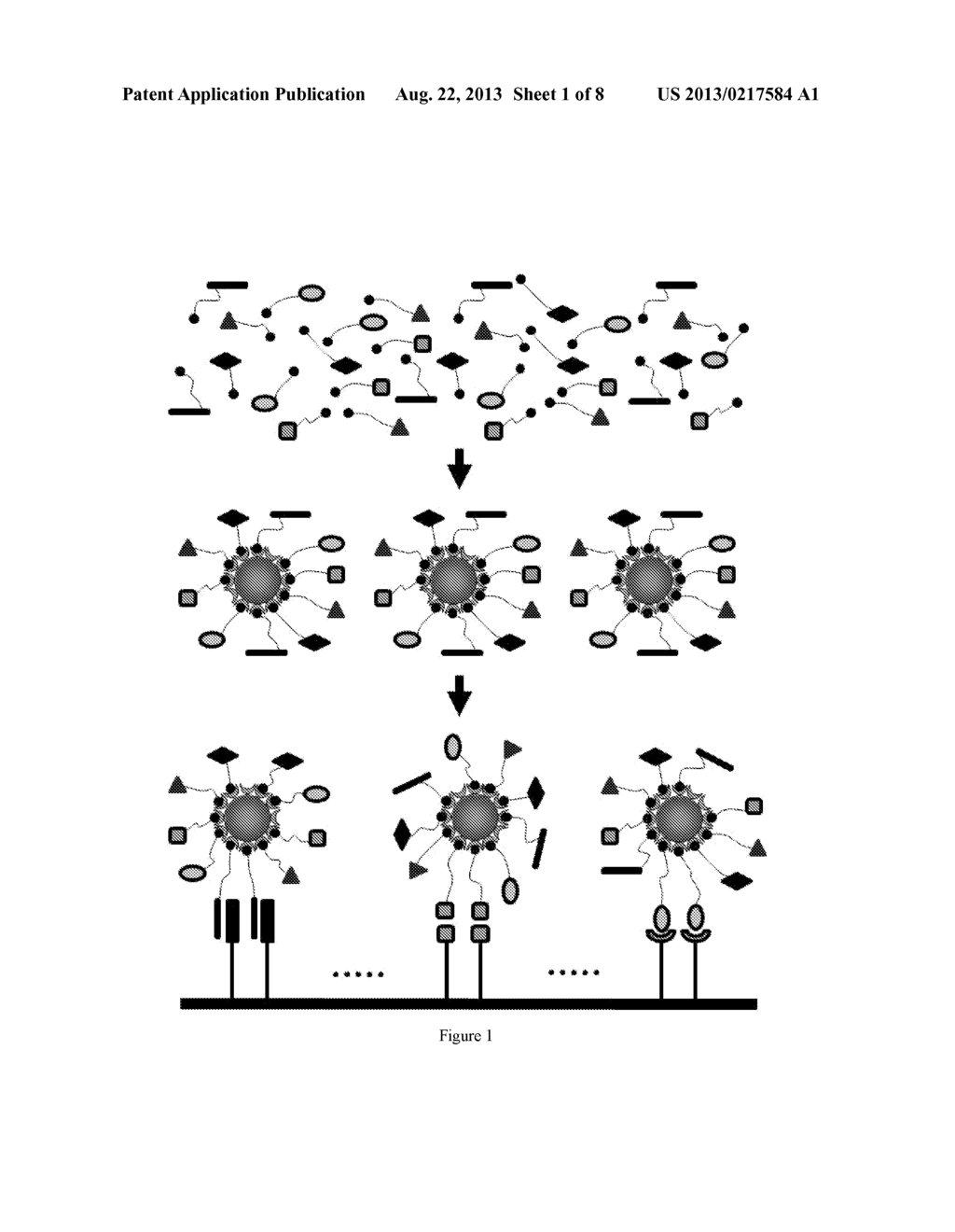 MICROARRAY-BASED ASSAY INTEGRATED WITH PARTICLES FOR ANALYZING MOLECULAR     INTERACTIONS - diagram, schematic, and image 02