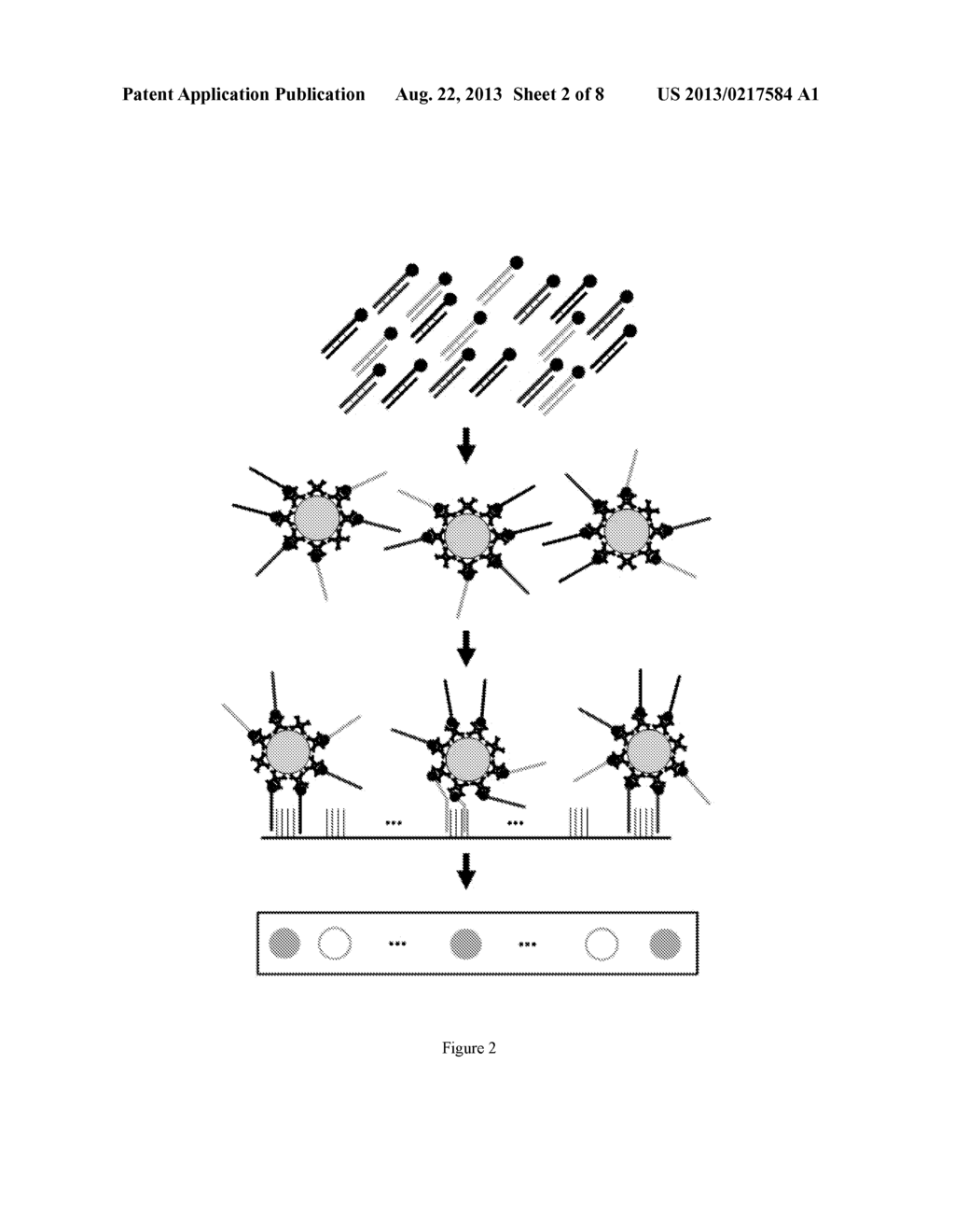 MICROARRAY-BASED ASSAY INTEGRATED WITH PARTICLES FOR ANALYZING MOLECULAR     INTERACTIONS - diagram, schematic, and image 03