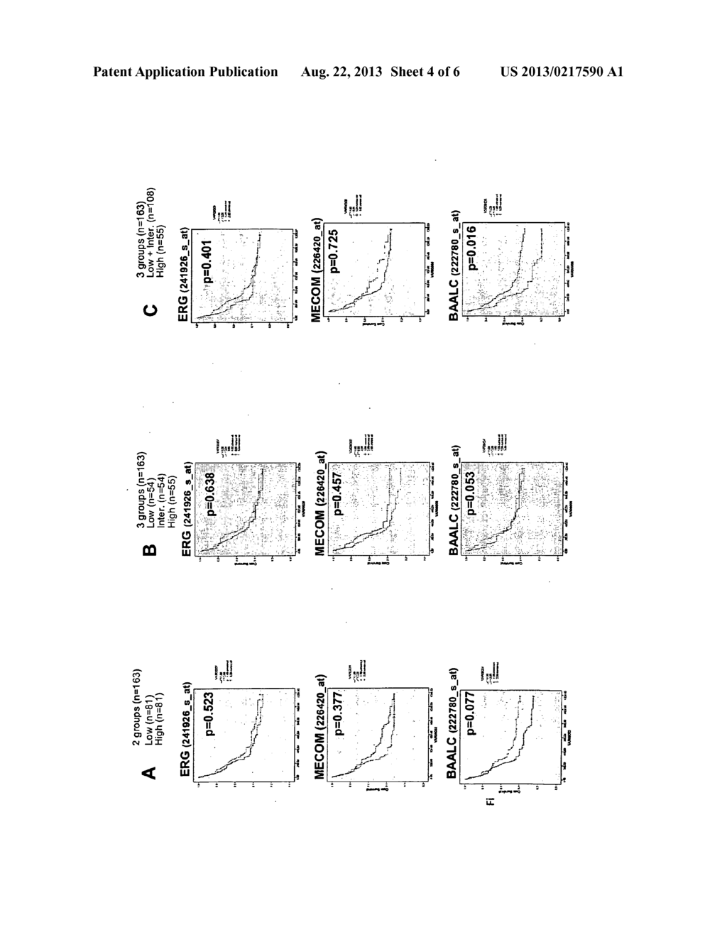 METHODS FOR DETERMINING A PROGNOSIS FOR SURVIVAL FOR A PATIENT WITH     LEUKAEMIA - diagram, schematic, and image 05