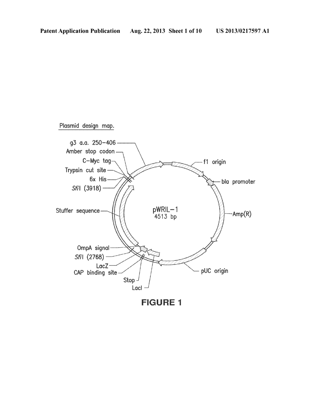 Compatible Display Vector Systems - diagram, schematic, and image 02