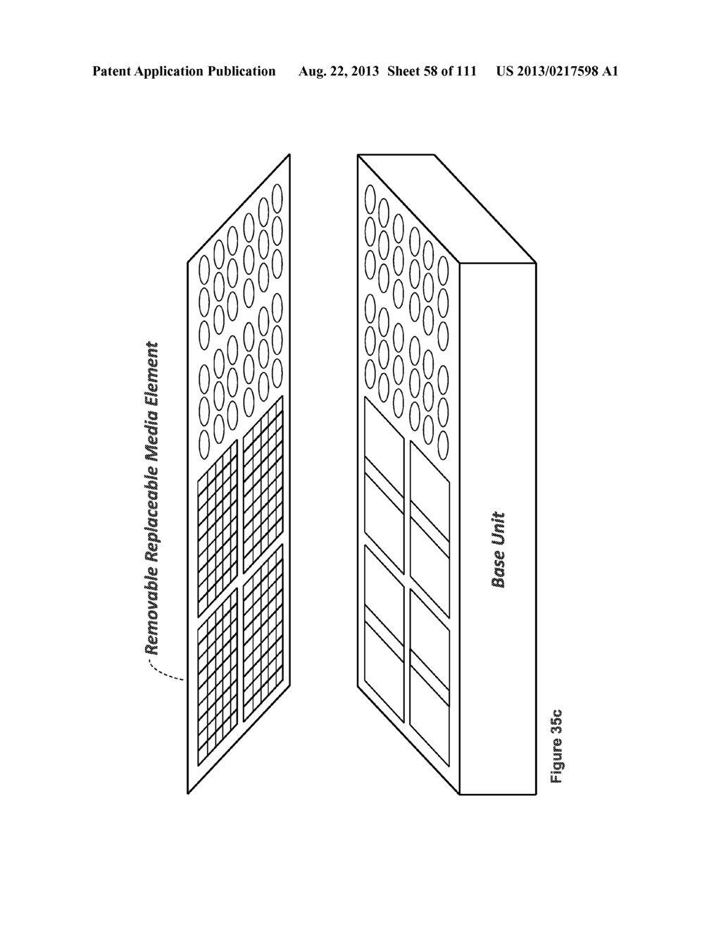 MICROPROCESSOR-CONTROLLED MICROFLUIDIC PLATFORM FOR PATHOGEN, TOXIN,     BIOMARKER, AND CHEMICAL DETECTION WITH REMOVABLE UPDATABLE SENSOR ARRAY     FOR FOOD AND WATER SAFETY, MEDICAL, AND LABORATORY APPLICATIONS - diagram, schematic, and image 59