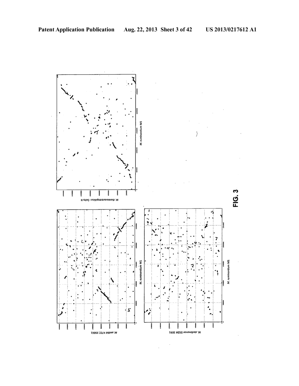 COMPLETE GENOME SEQUENCE OF THE METHANOGEN METHANOBREVIBACTER RUMINANTIUM - diagram, schematic, and image 04