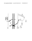 COMPLETE GENOME SEQUENCE OF THE METHANOGEN METHANOBREVIBACTER RUMINANTIUM diagram and image