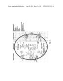 COMPLETE GENOME SEQUENCE OF THE METHANOGEN METHANOBREVIBACTER RUMINANTIUM diagram and image