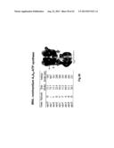 COMPLETE GENOME SEQUENCE OF THE METHANOGEN METHANOBREVIBACTER RUMINANTIUM diagram and image