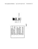 COMPLETE GENOME SEQUENCE OF THE METHANOGEN METHANOBREVIBACTER RUMINANTIUM diagram and image