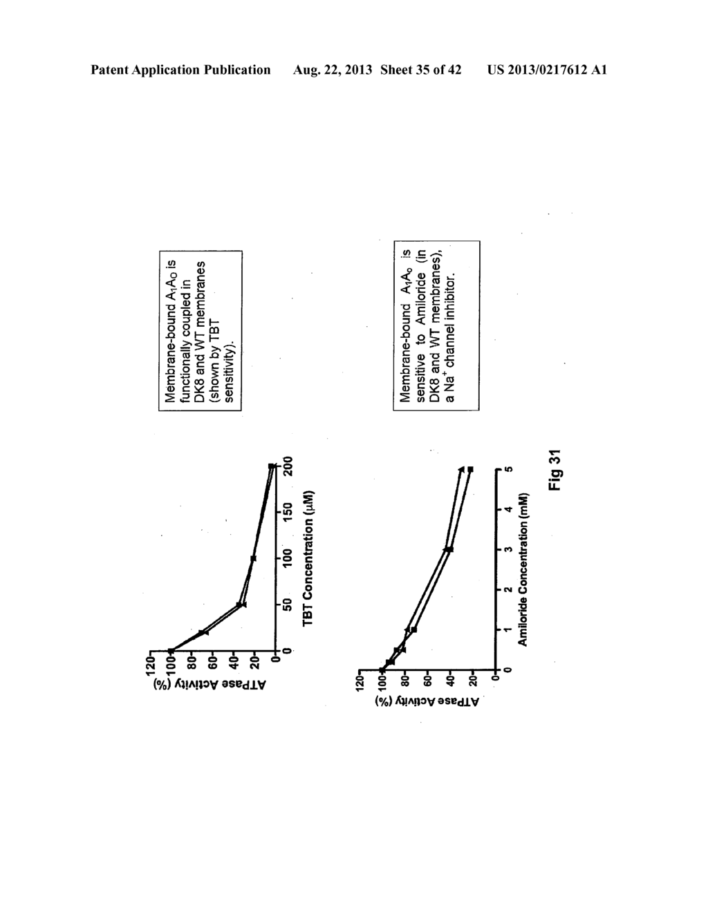 COMPLETE GENOME SEQUENCE OF THE METHANOGEN METHANOBREVIBACTER RUMINANTIUM - diagram, schematic, and image 36