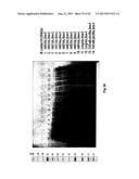 COMPLETE GENOME SEQUENCE OF THE METHANOGEN METHANOBREVIBACTER RUMINANTIUM diagram and image