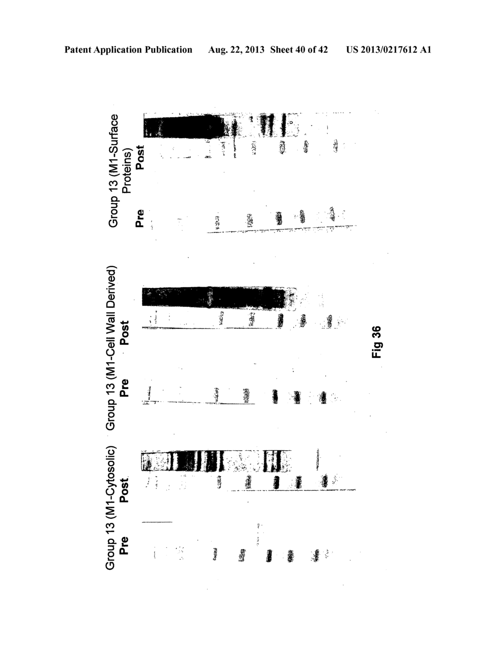 COMPLETE GENOME SEQUENCE OF THE METHANOGEN METHANOBREVIBACTER RUMINANTIUM - diagram, schematic, and image 41