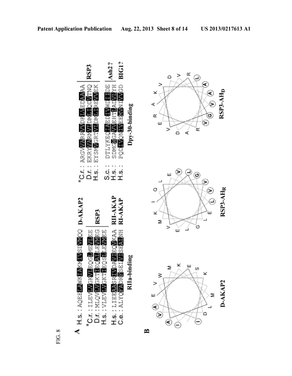 DPY-30 Binding Peptides - diagram, schematic, and image 09