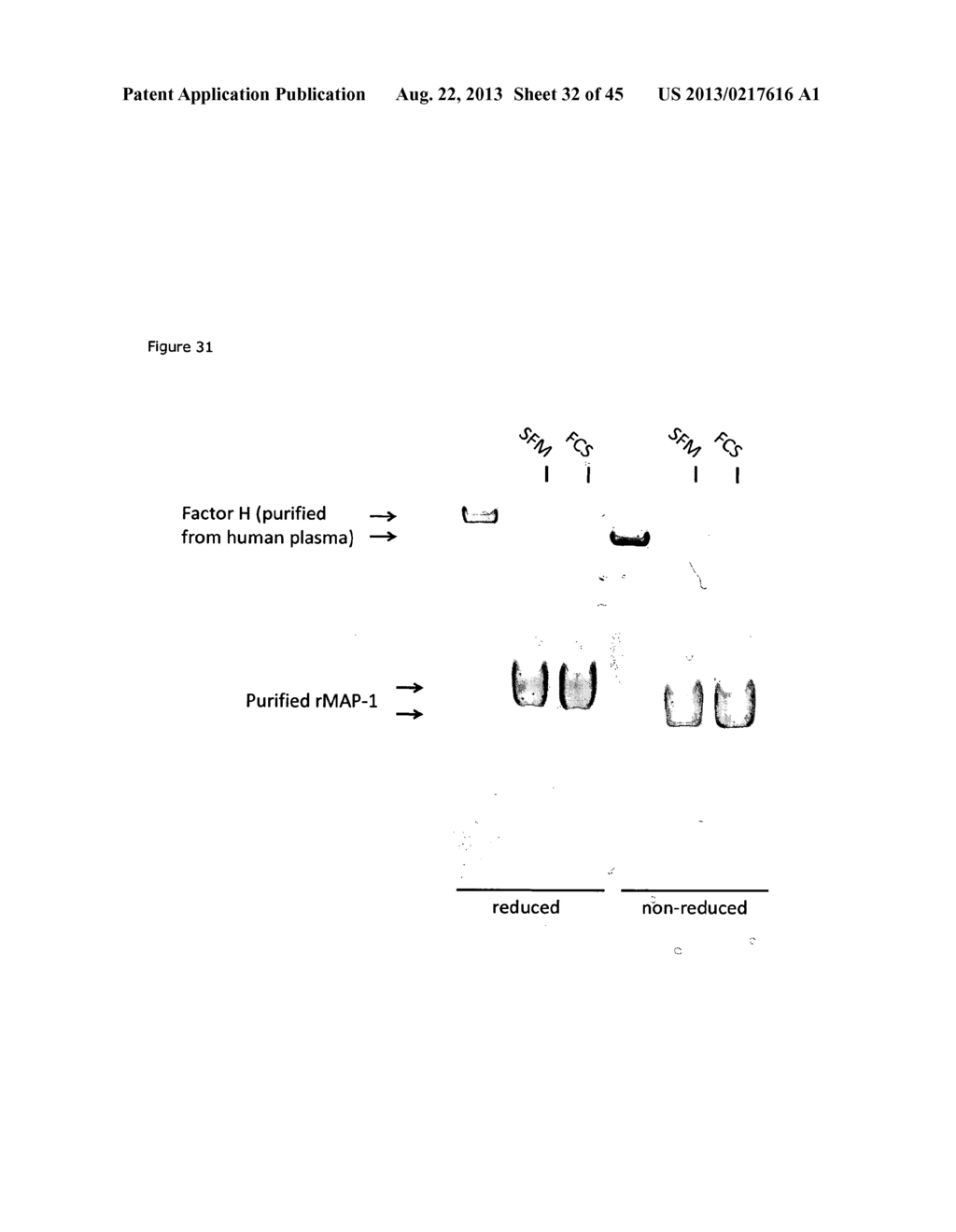 CHIMERIC INHIBITOR MOLECULES OF COMPLEMENT ACTIVATION - diagram, schematic, and image 33