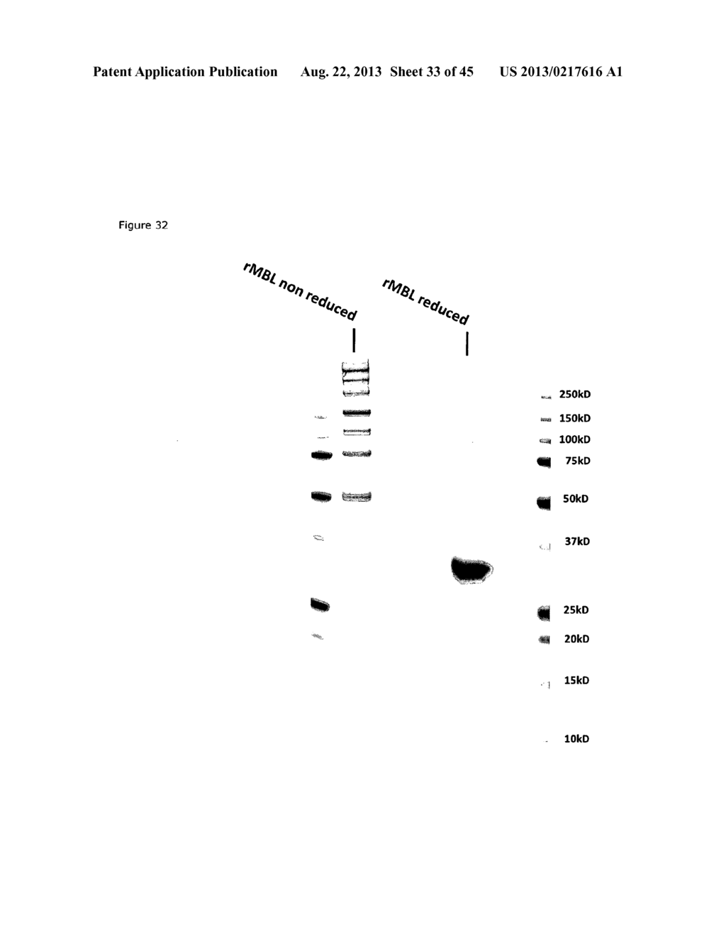 CHIMERIC INHIBITOR MOLECULES OF COMPLEMENT ACTIVATION - diagram, schematic, and image 34