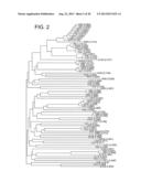 COMPOSITIONS AND METHODS FOR PRODUCING BIOACTIVE FUSION PROTEINS diagram and image