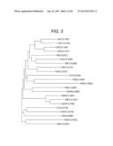 COMPOSITIONS AND METHODS FOR PRODUCING BIOACTIVE FUSION PROTEINS diagram and image