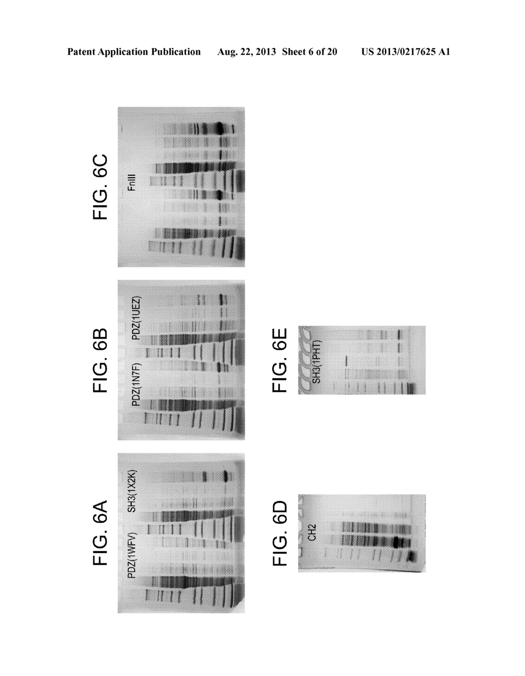 COMPOSITIONS AND METHODS FOR PRODUCING BIOACTIVE FUSION PROTEINS - diagram, schematic, and image 07