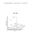 COMPOSITIONS AND METHODS FOR PRODUCING BIOACTIVE FUSION PROTEINS diagram and image