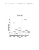 COMPOSITIONS AND METHODS FOR PRODUCING BIOACTIVE FUSION PROTEINS diagram and image