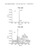 COMPOSITIONS AND METHODS FOR PRODUCING BIOACTIVE FUSION PROTEINS diagram and image
