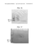 COMPOSITIONS AND METHODS FOR PRODUCING BIOACTIVE FUSION PROTEINS diagram and image